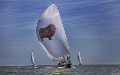 Champagne sailing at the 2019 SYH Classic Regatta